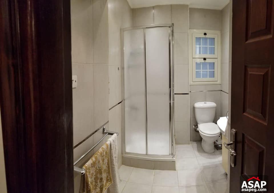 Apartment for Rent in Zamalek - Cairo Apartment for Rent in Zamalek - Cairo