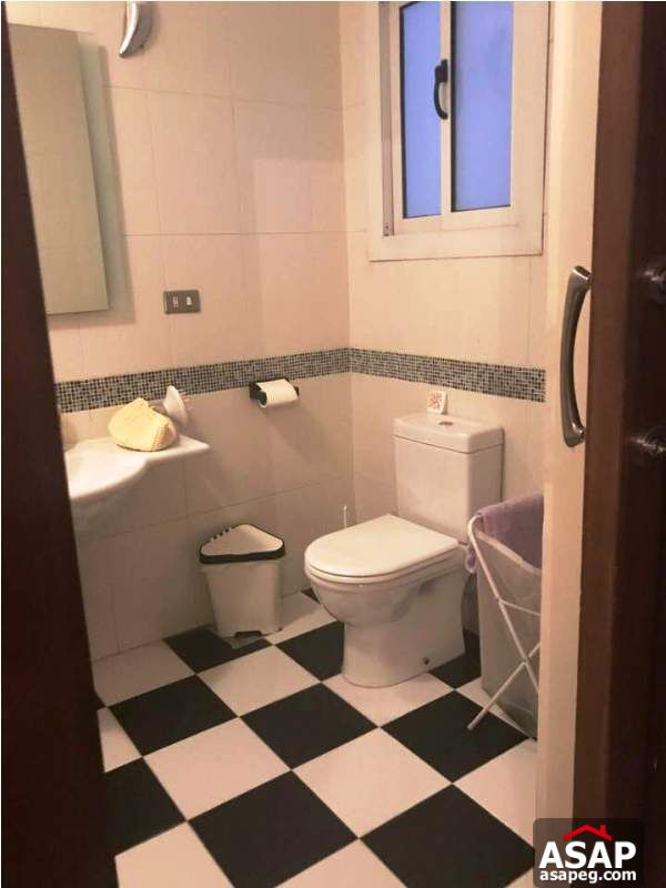 Nice Property in Zamalek for Rent Nice Property in Zamalek for Rent