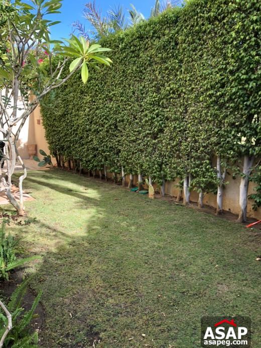 Ground Floor for Rent in Katameya Heights Ground Floor for Rent in Katameya Heights