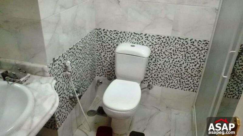 Furnished Apartment with Nile View for Rent in Maadi Furnished Apartment with Nile View for Rent in Maadi