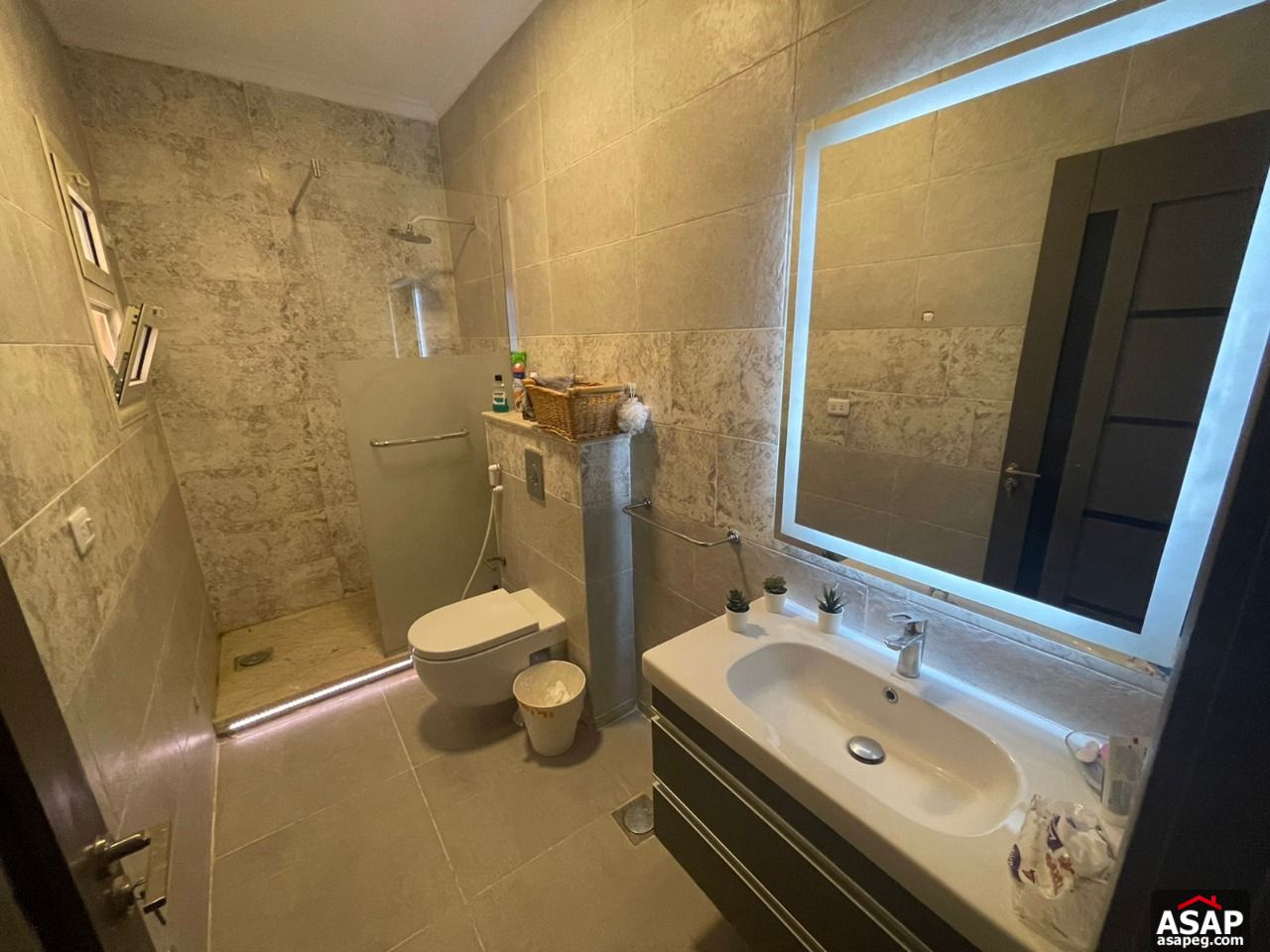 Furnished Apartment for Rent in Hyde Park