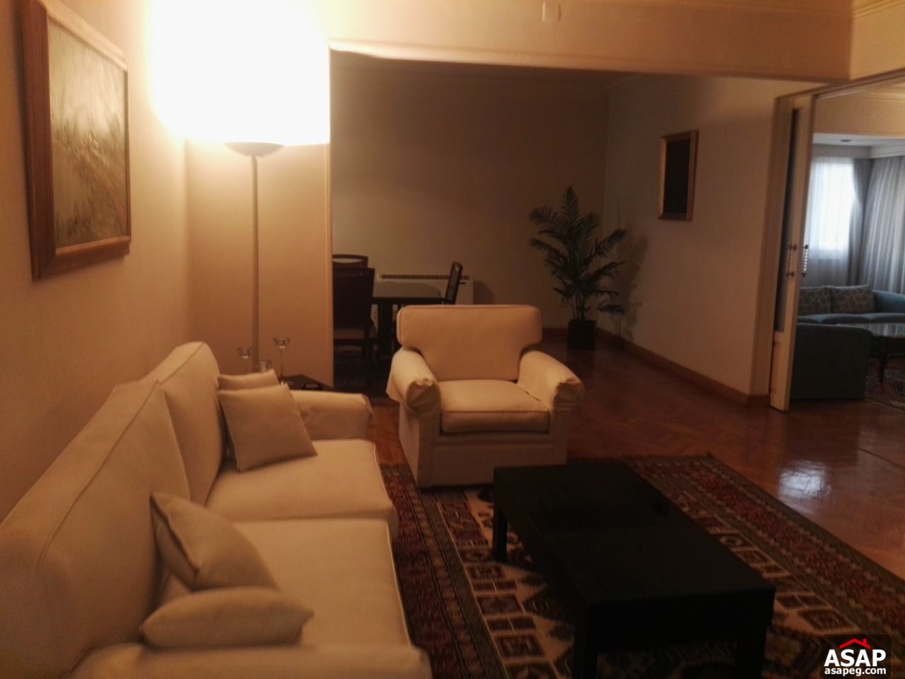 Apartments in Zamalek for Rent Apartments in Zamalek for Rent