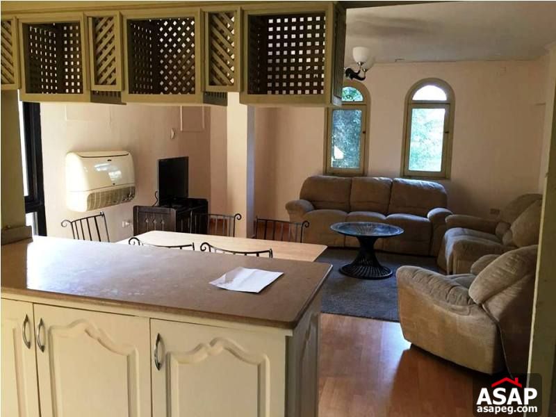 Amazing Furnished Apartment in Maadi for Rent Amazing Furnished Apartment in Maadi for Rent