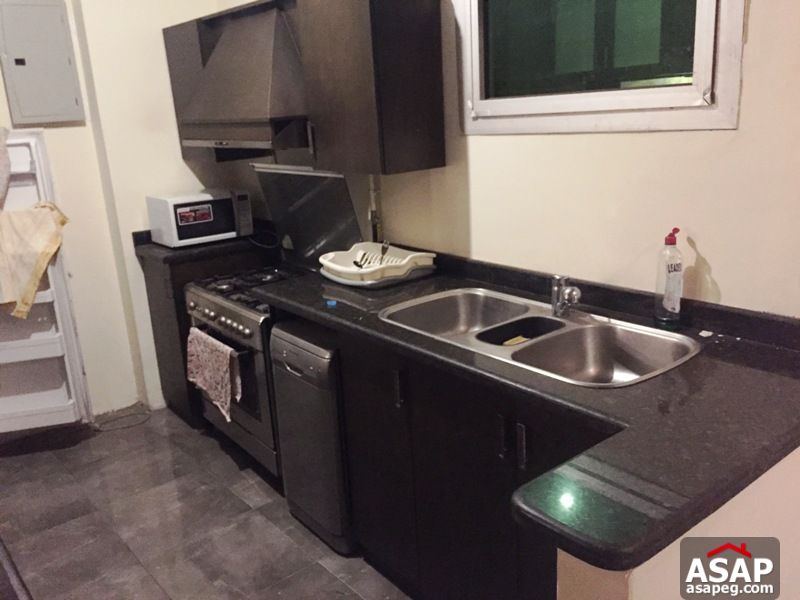 Apartment for rent in zamalek