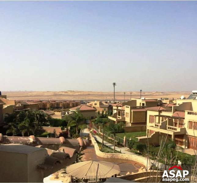 Twin House with Garden for Rent in Meadows Park - Sheikh Zayed Twin House with Garden for Rent in Meadows Park - Sheikh Zayed