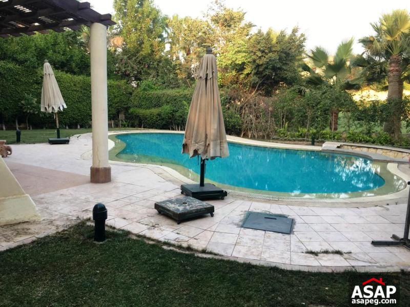 Villa with Pool for Rent in Katameya Heights Villa with Pool for Rent in Katameya Heights