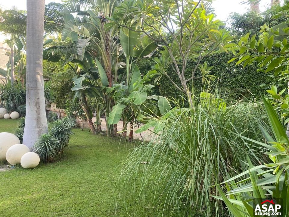 Villa for Rent in Belle Ville Compound