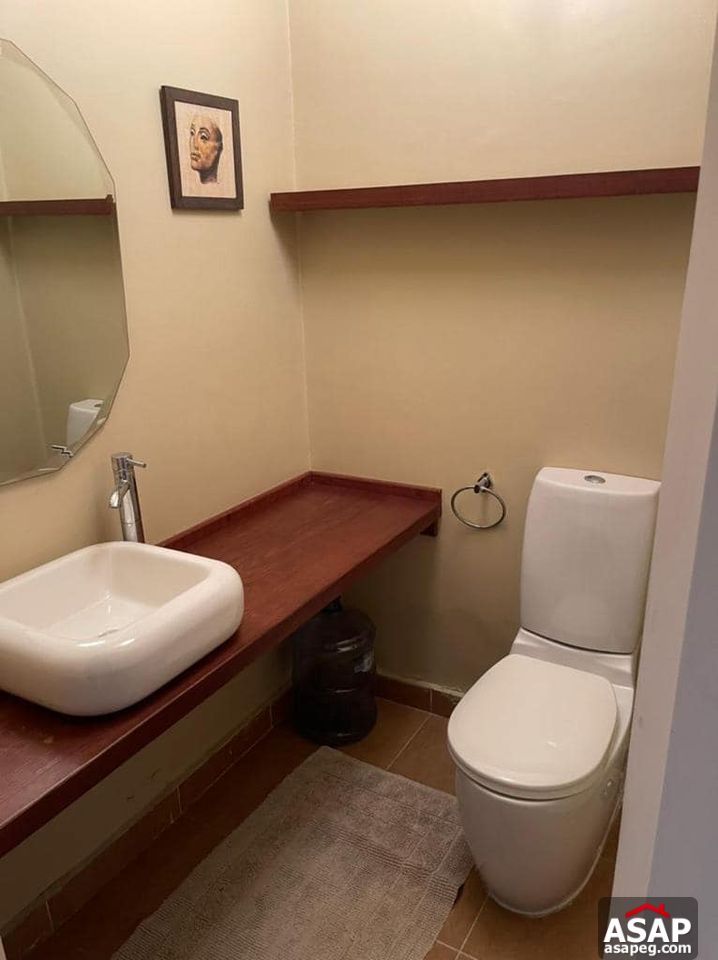 Apartment with Nile View for Rent in Zamalek