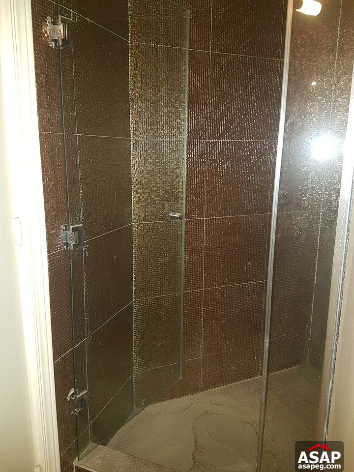 Apartments for Rent in Zamalek Apartments for Rent in Zamalek