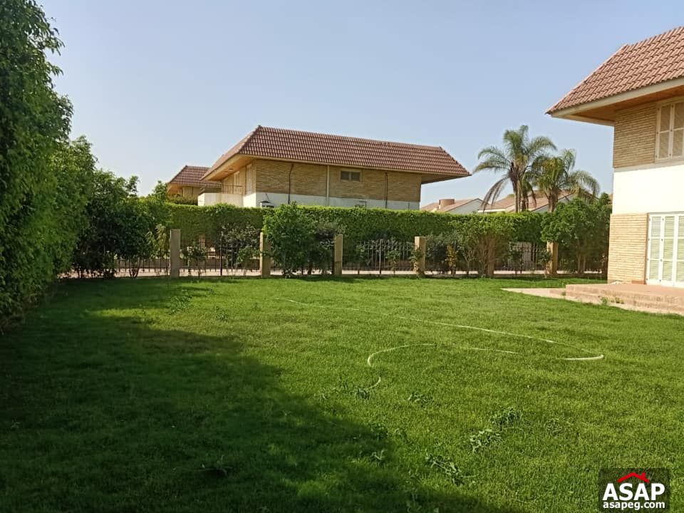 Villa for Rent in Rabwa - Sheikh Zayed Villa for Rent in Rabwa - Sheikh Zayed