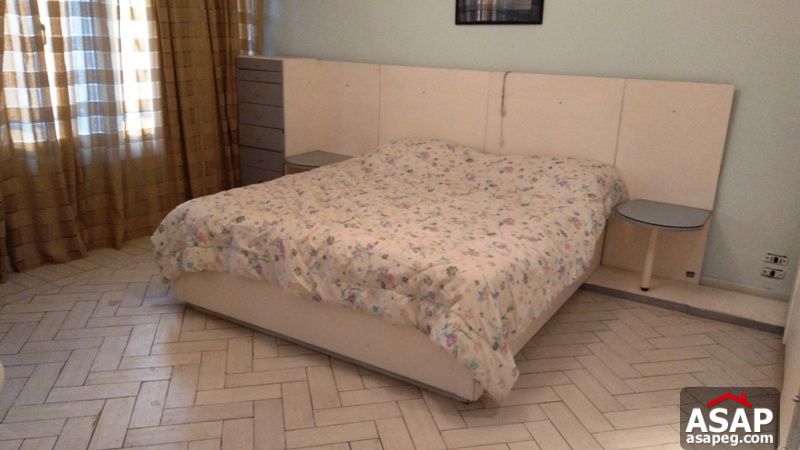 Furnished Apartment for Rent in Zamalek Furnished Apartment for Rent in Zamalek