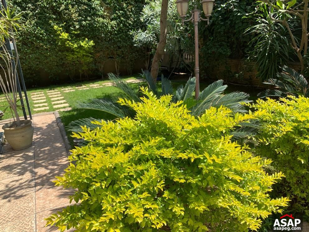 Twin House for Rent in Maadi Degla Twin House for Rent in Maadi Degla