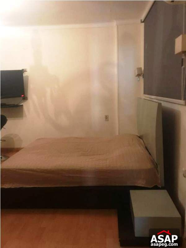 Nice Property in Zamalek for Rent Nice Property in Zamalek for Rent