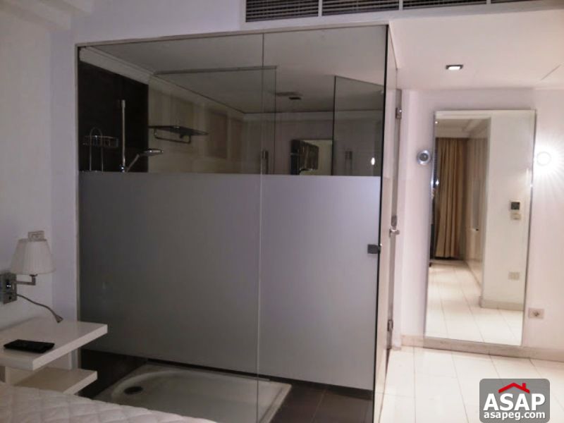 Apartment with Garden in Zamalek Apartment with Garden in Zamalek