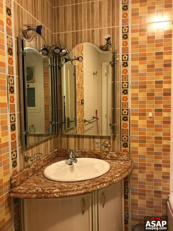 Apartment for Rent in Zamalek Apartment for Rent in Zamalek