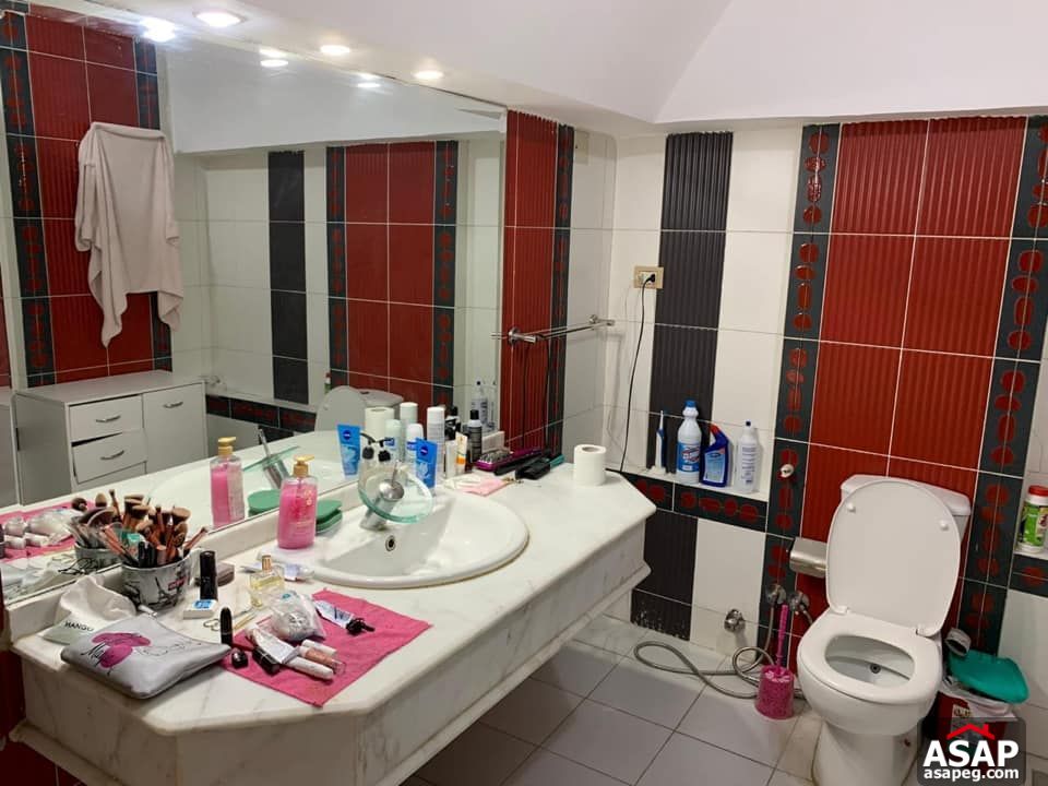 Apartments for Rent in Zamalek Apartments for Rent in Zamalek