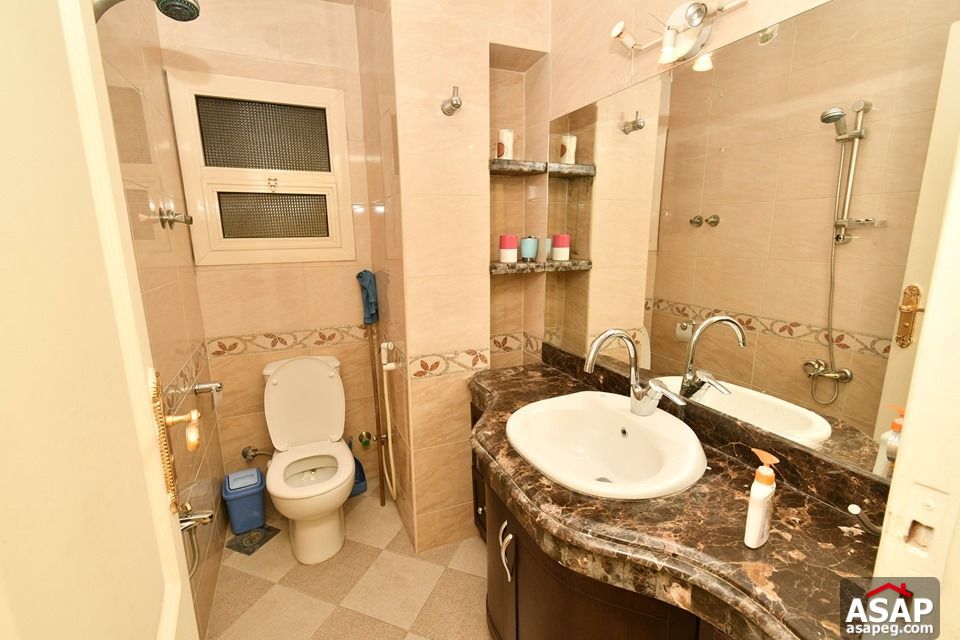 Apartment for Rent in Zamalek Apartment for Rent in Zamalek