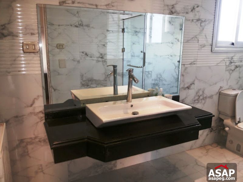 Apartment with Garden in Zamalek Apartment with Garden in Zamalek