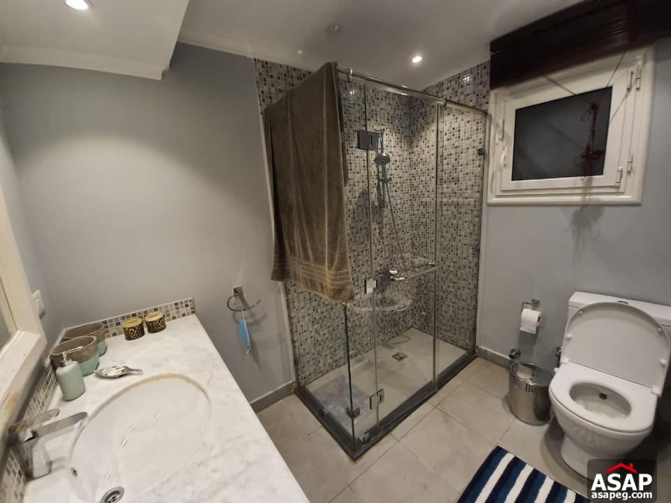 Furnished Apartment in Zamalek Furnished Apartment in Zamalek