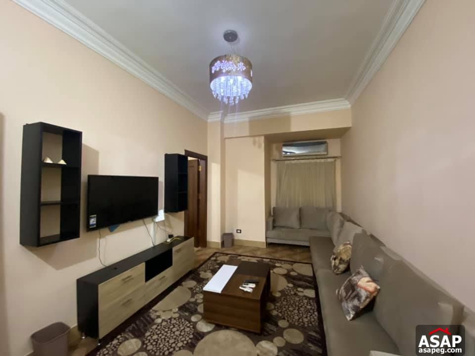 Apartment for Rent in Zamalek Apartment for Rent in Zamalek