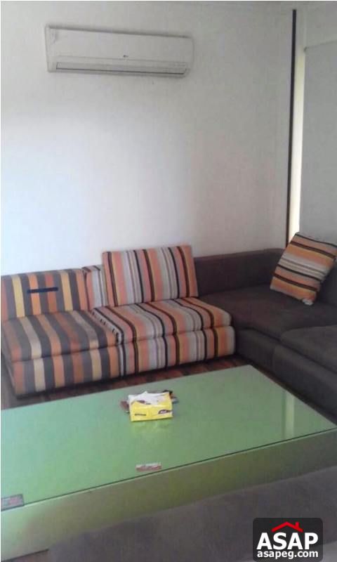 Furnished Apartment for Rent in Mohandiseen Furnished Apartment for Rent in Mohandiseen