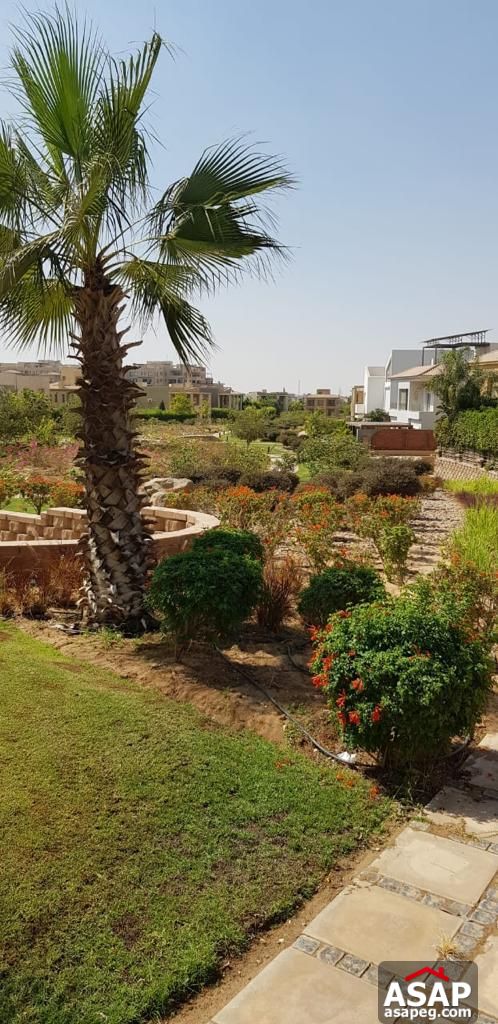 Stand Alone with Pool for Rent in Allegria Compound