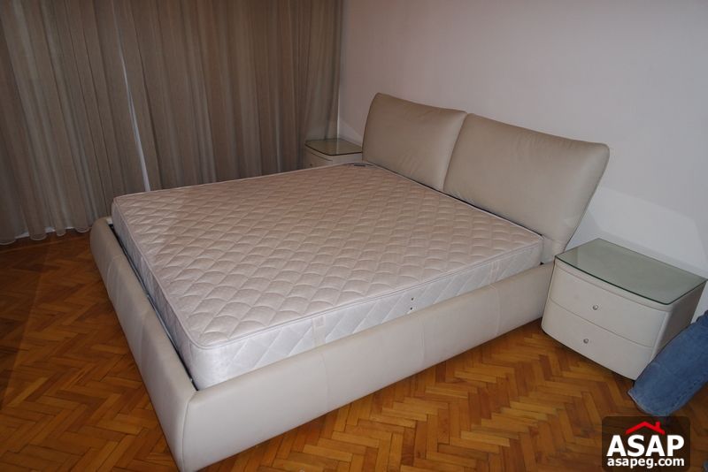 Apartment for Rent in Zamalek Apartment for Rent in Zamalek