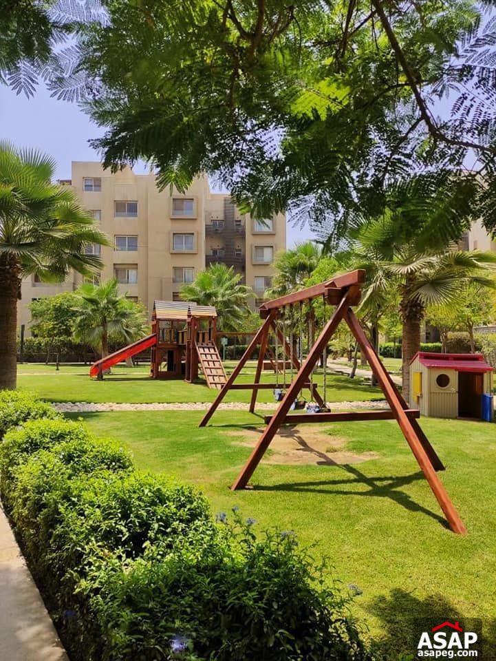 Studio for Rent in The Village Palm Hills