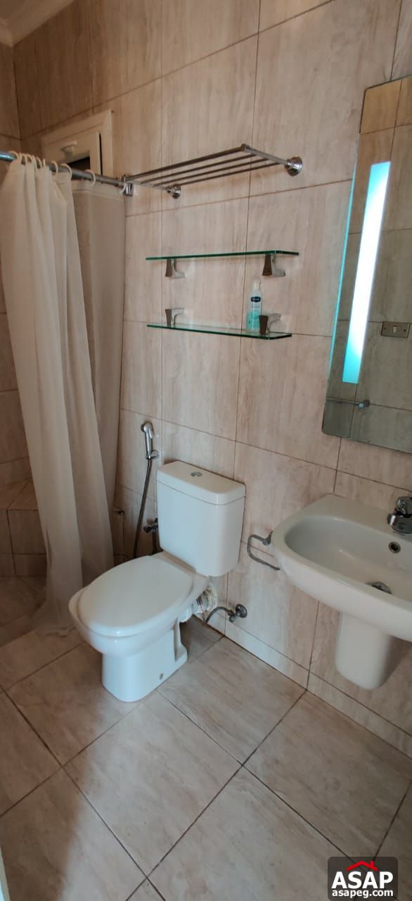 Apartment for Rent in Zamalek Apartment for Rent in Zamalek