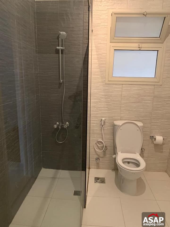 Apartment for Rent in Zamalek Apartment for Rent in Zamalek