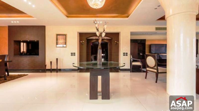 Fully Furnished Apartment for Rent in 1st Settlement Fully Furnished Apartment for Rent in 1st Settlement