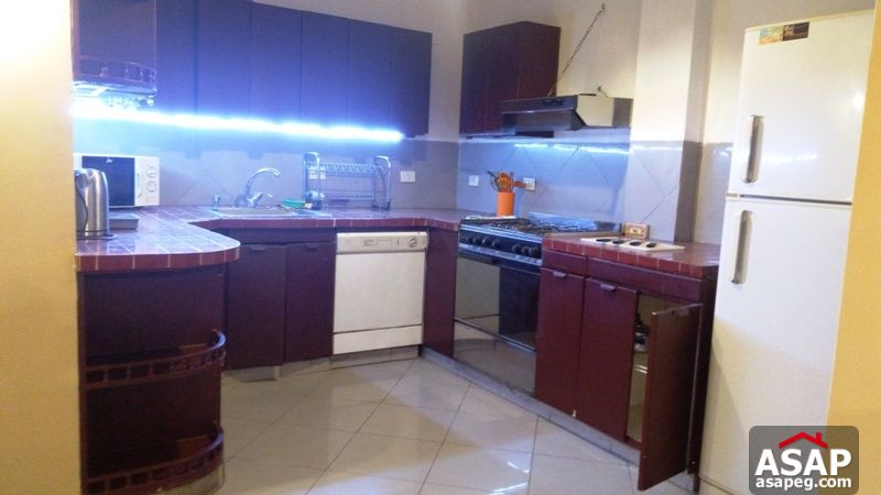 Modern Furnished Apartment for Rent in Mohandiseen