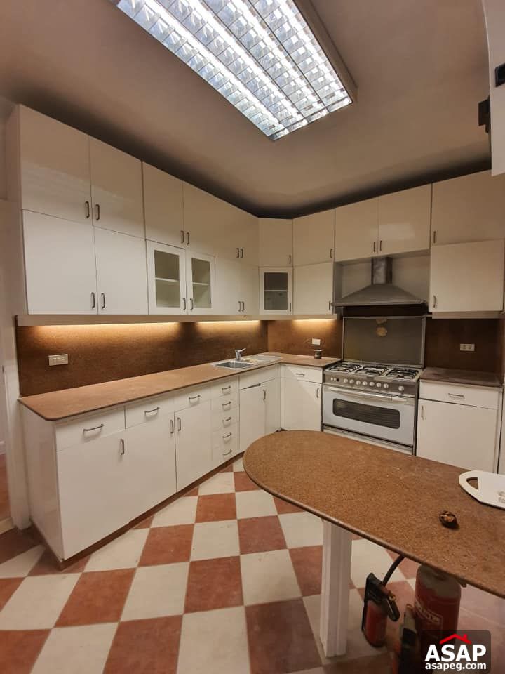 Apartment for Rent in Zamalek Apartment for Rent in Zamalek