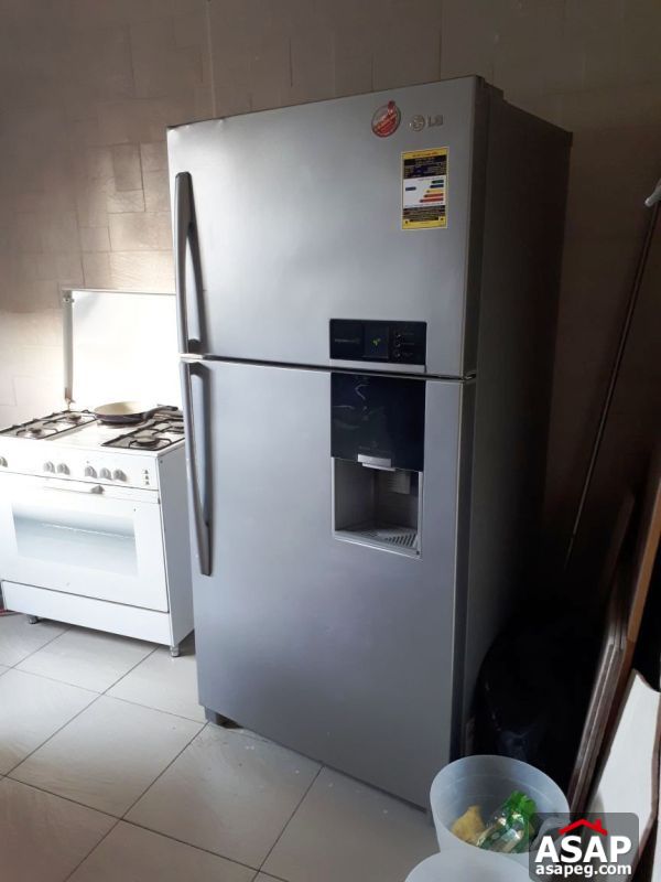 Villa for Rent in Sheikh Zayed Villa for Rent in Sheikh Zayed