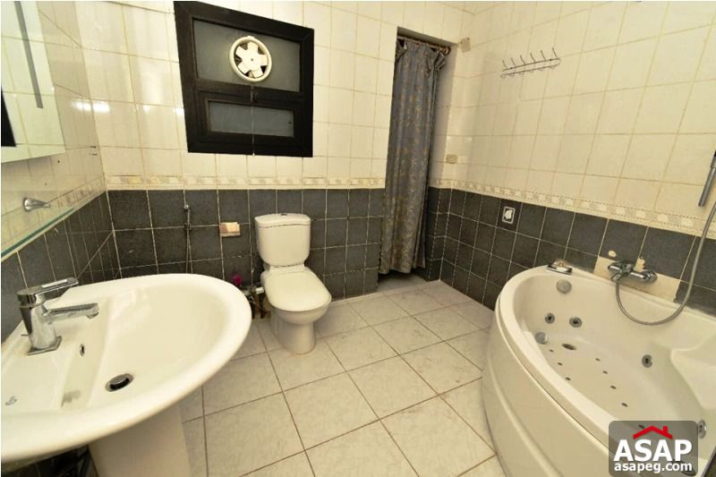 Nice Flat for Rent in Zamalek Nice Flat for Rent in Zamalek