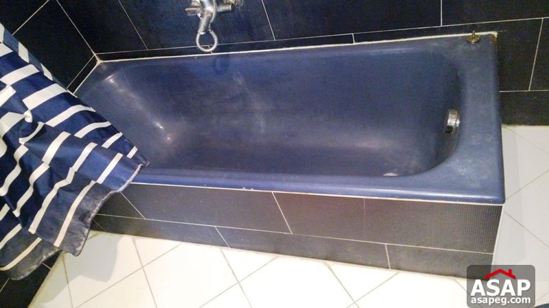 Apartment for rent in zamalek