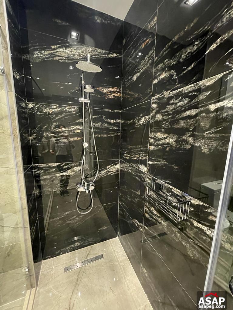 Furnished Apartment for Rent in Villette Sodic