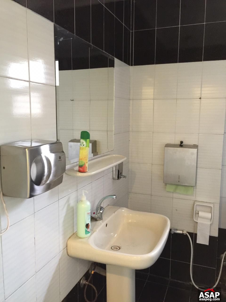 Office Space for Rent in Zamalek Office Space for Rent in Zamalek