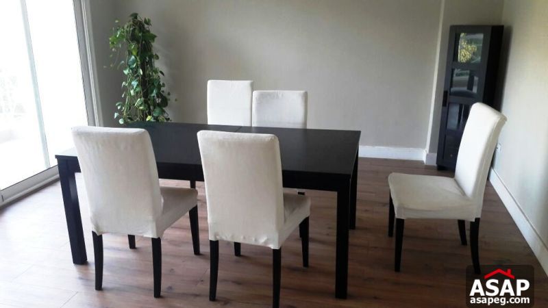 Furnished Apartment with Nice Balcony in Zamalek