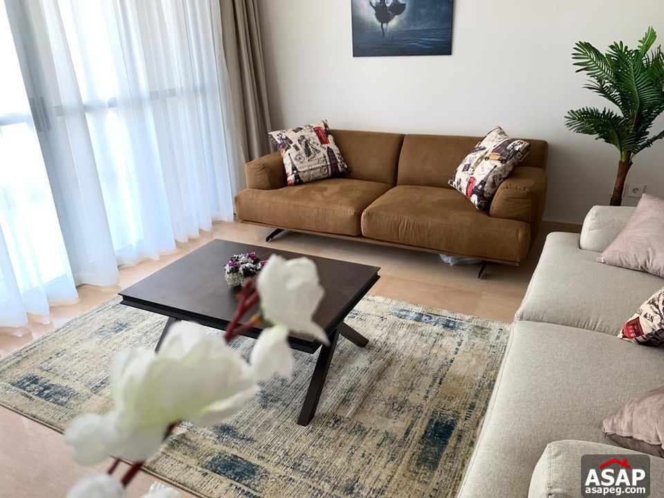 Furnished Apartment for Rent in CFC