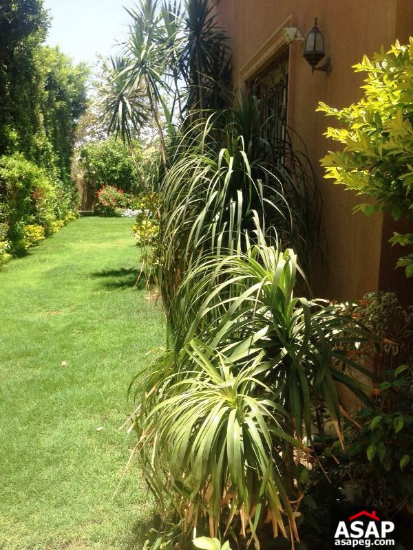 Fully Furnished Twin House for Rent in New Cairo