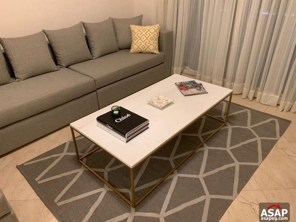 Apartment with Nile View for Rent in Zamalek Apartment with Nile View for Rent in Zamalek