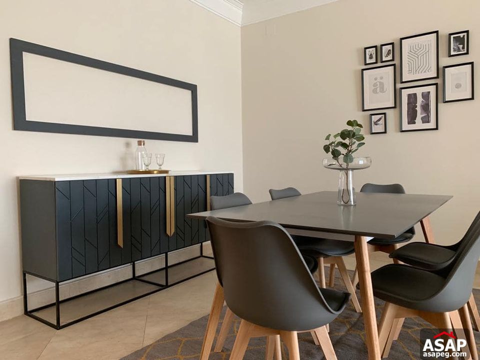 Apartment with Nile View for Rent in Zamalek Apartment with Nile View for Rent in Zamalek