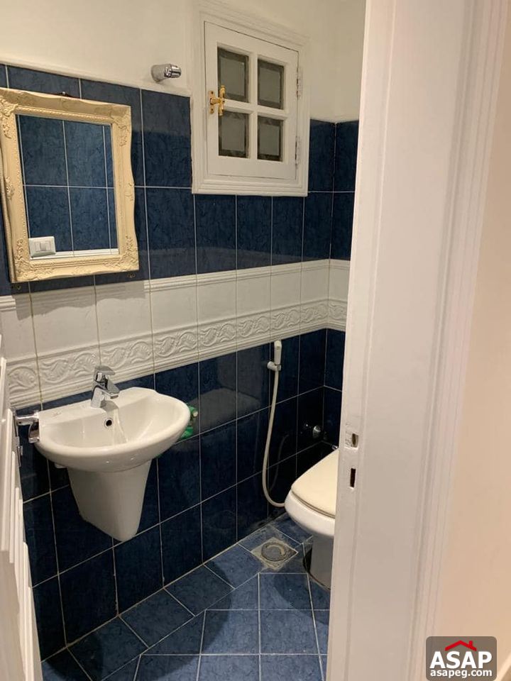 Apartment with Nile View for Rent in Zamalek Apartment with Nile View for Rent in Zamalek