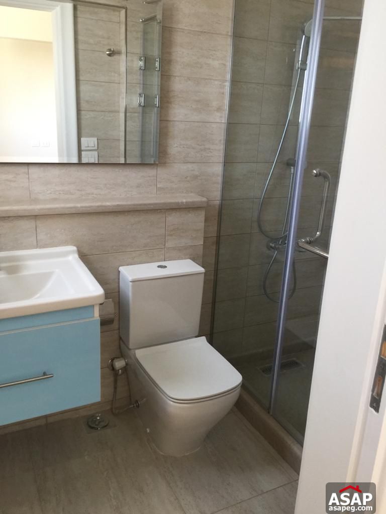 Apartment for Rent in Zamalek Apartment for Rent in Zamalek