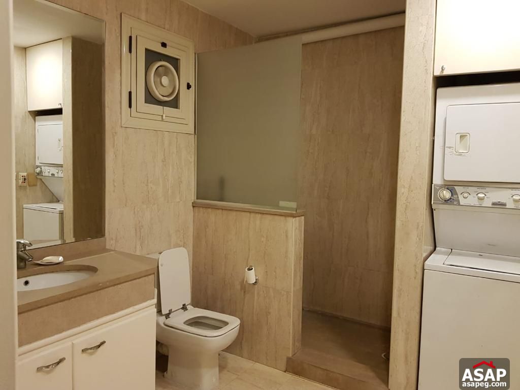 Apartment for Rent in Zamalek Apartment for Rent in Zamalek