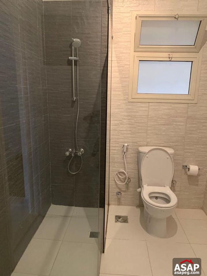 Apartment for Rent in Zamalek Apartment for Rent in Zamalek