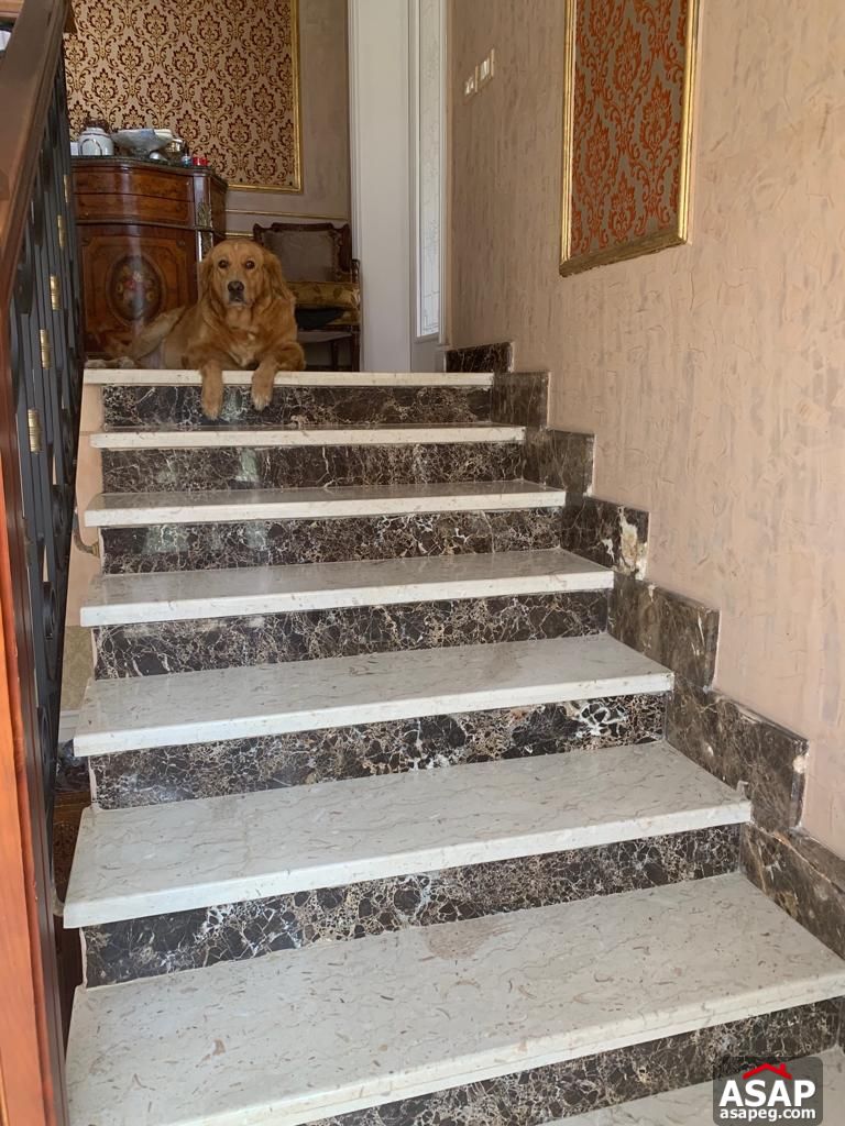 Stand Alone Villa with Swimming Pool in Bellagio Stand Alone Villa with Swimming Pool in Bellagio