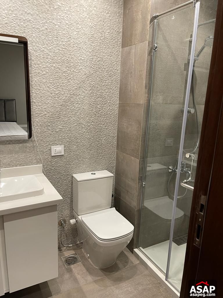 Furnished Apartment for Rent in Eastown Furnished Apartment for Rent in Eastown