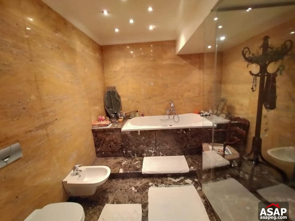 Furnished Apartment for Rent in Zamalek Furnished Apartment for Rent in Zamalek